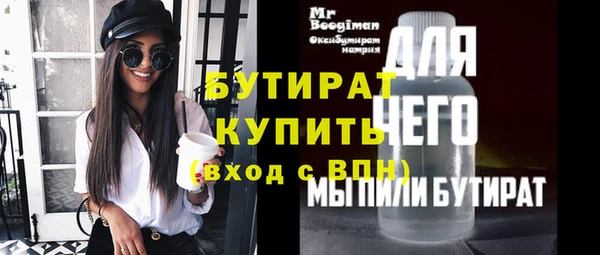 индика Горняк