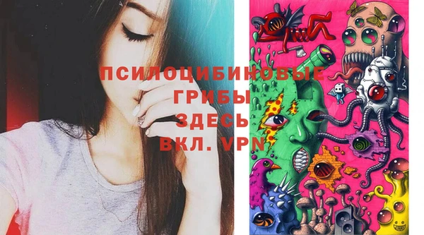 индика Горняк