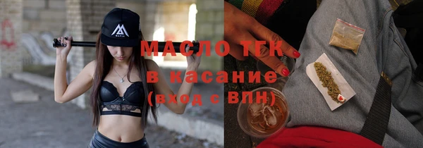 индика Горняк