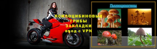 индика Горняк