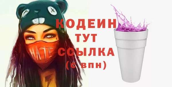 индика Горняк