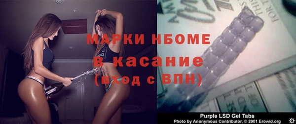 индика Горняк