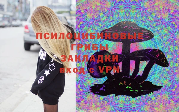 индика Горняк