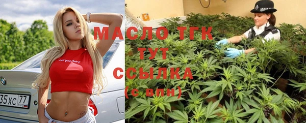 индика Горняк