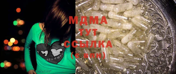 индика Горняк