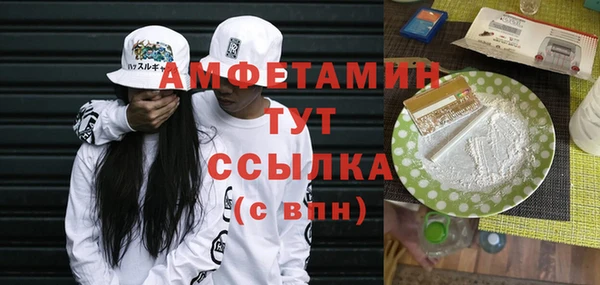 индика Горняк