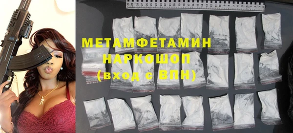 индика Горняк