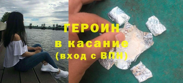 индика Горняк