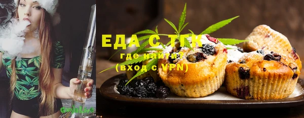 индика Горняк