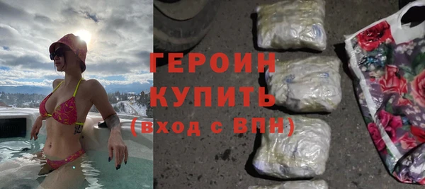 индика Горняк