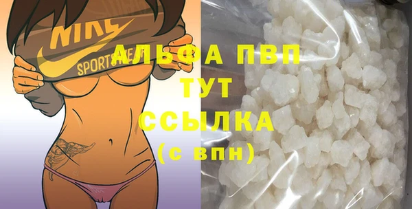 индика Горняк
